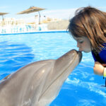 kids with dolphins