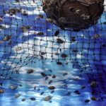 Dolphins and Fishing Nets: Why Bycatch Is Still a Major Problem